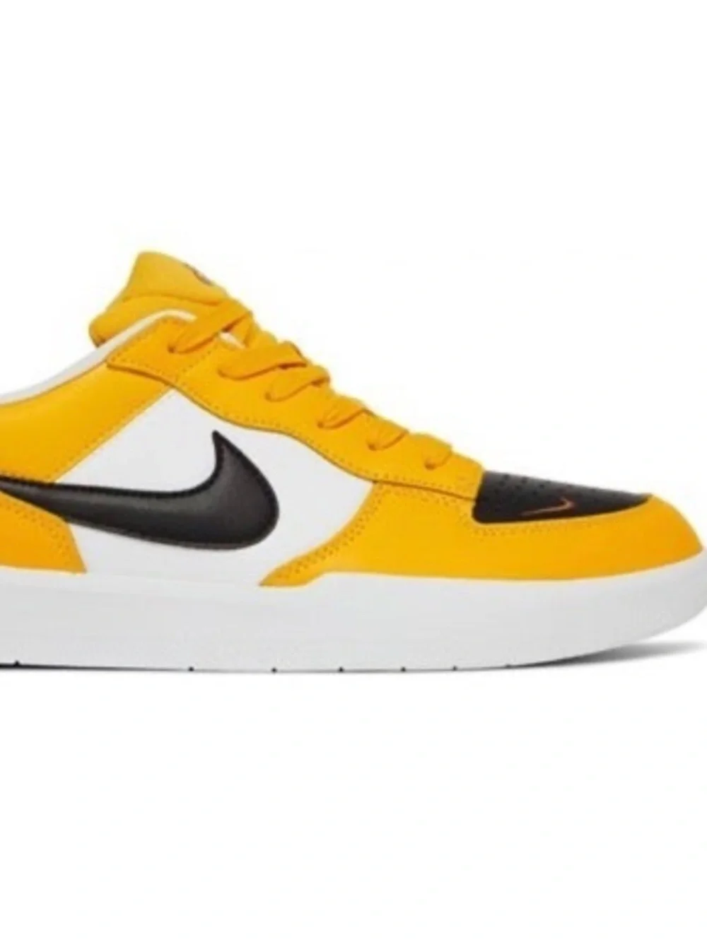 Nike sb force